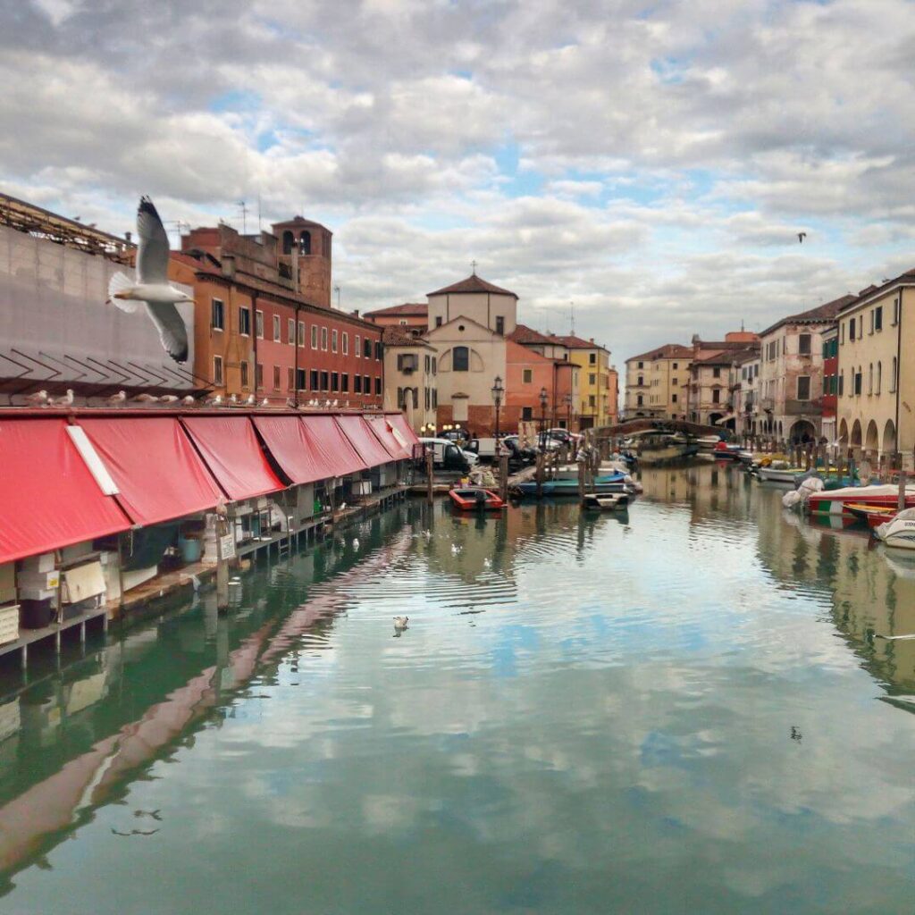 A market along a canal in Chioggia Italy, with a seagull swooping in front of the camera.