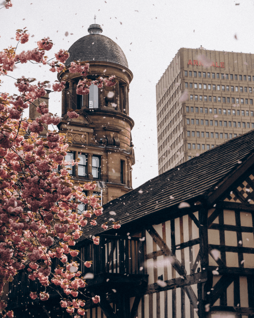 The Chetham area of Manchester, with half-timbered black-and-white building, stone tower behind, and cherry blossoms in bloom.
