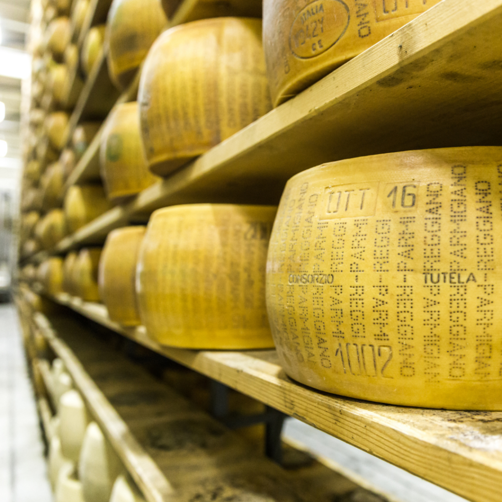 Parmiagiano Reggiano aging on shelves, one of the most famous foods of Italy's Emilia Romagna region