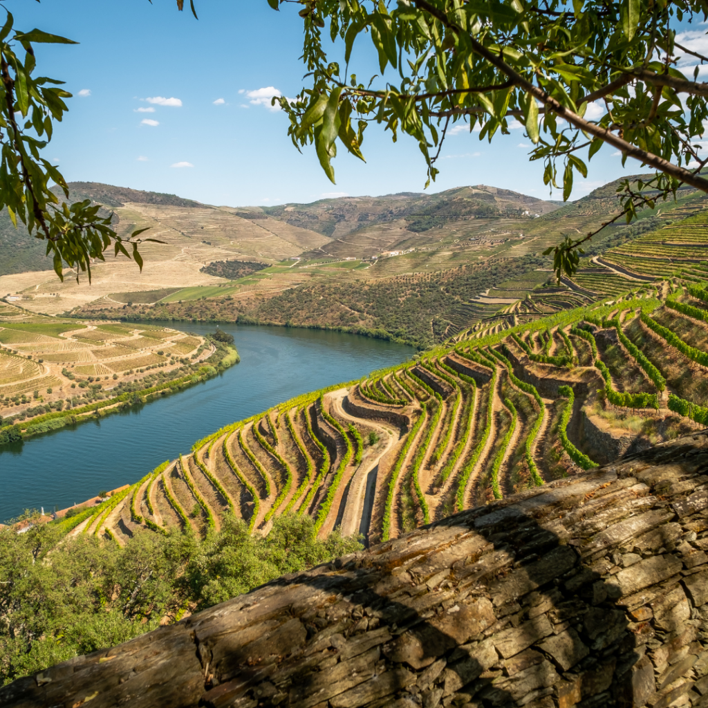 The Douro Valley in Portugal, one of the best best river to cruise in Europe
