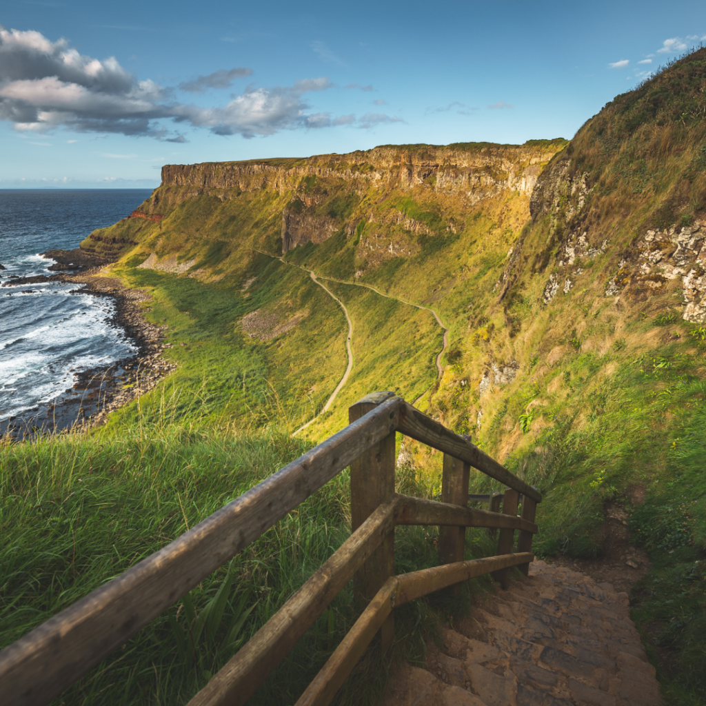 A path down to the water along Northern Ireland's Antrim Coast