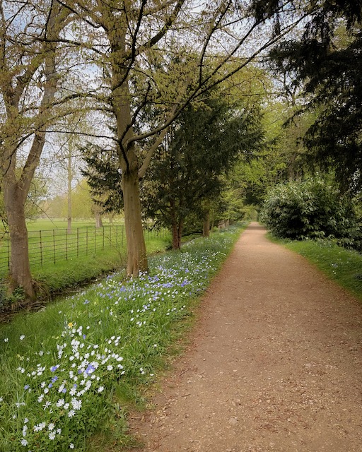 The Magdalen College Gardens in Oxford