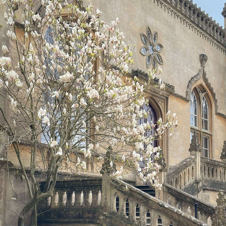 Lacock Abbey in the spring