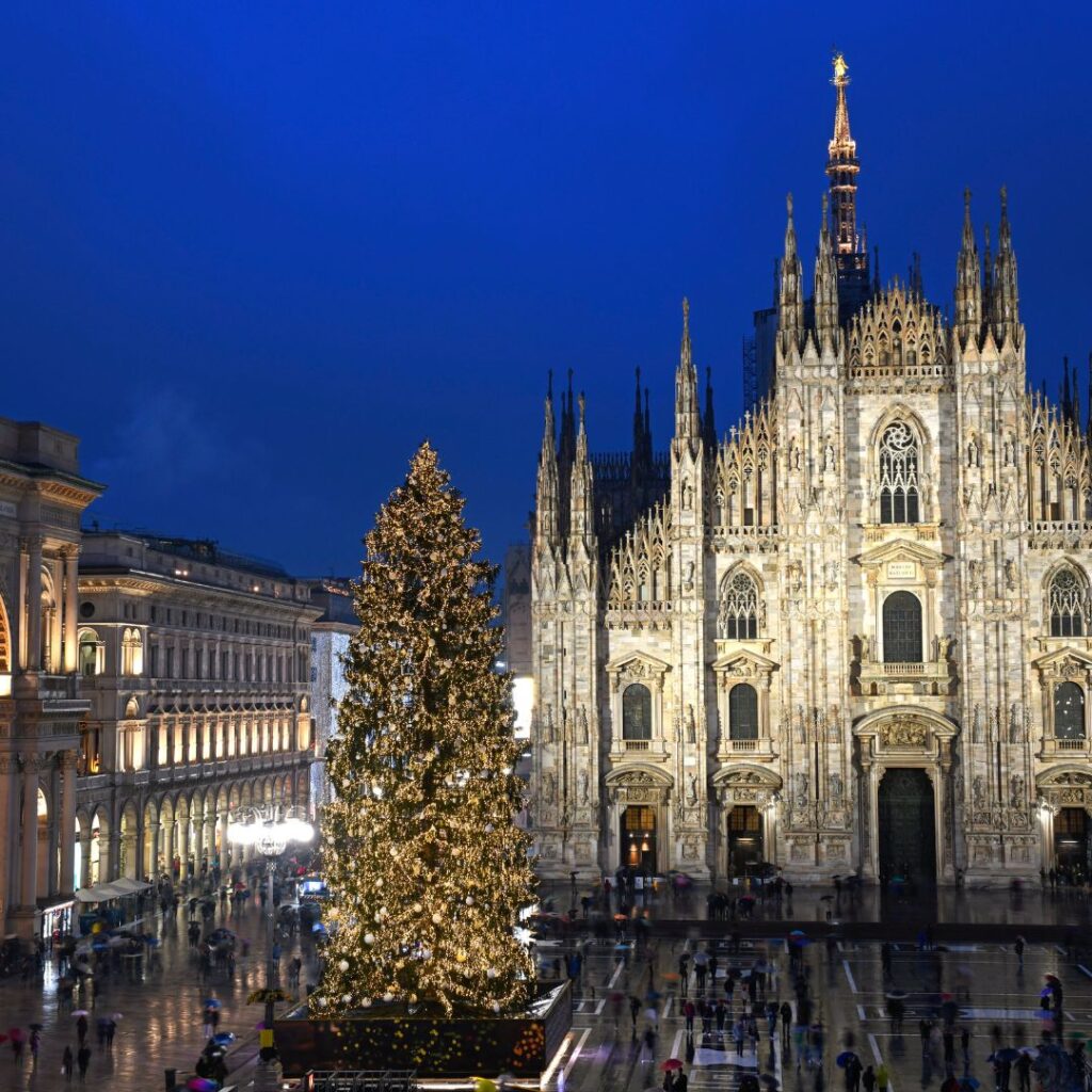 A Christmas tree in front of the Duomo in Milan