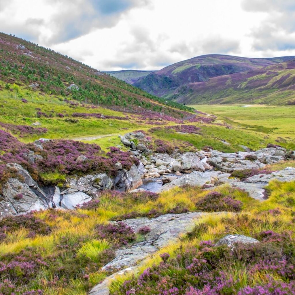 Enjoy views of Caringorms National Park when you take a journey on The Royal Scotsman