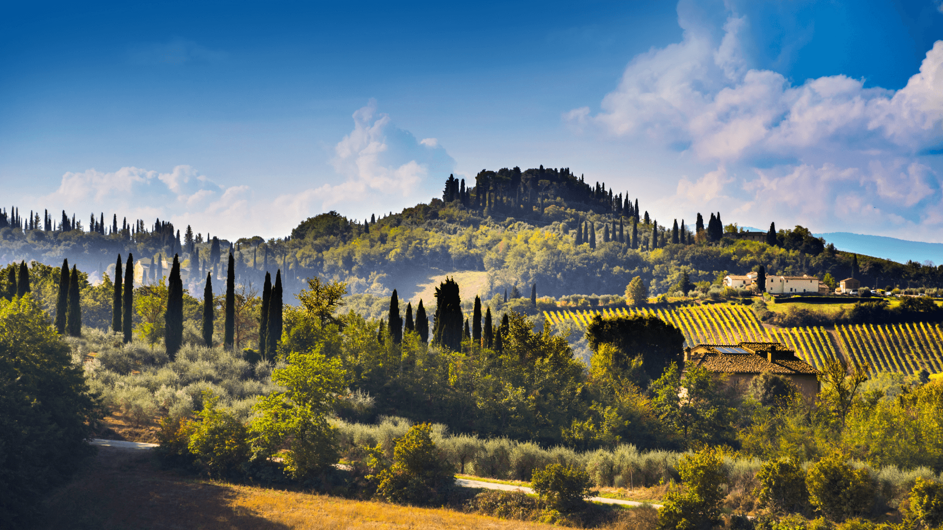 The rolling hills of Tuscany, one of the best known regions of Italy