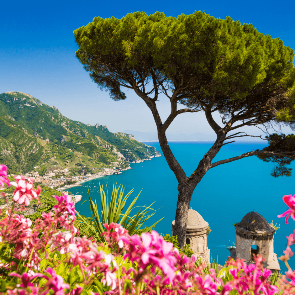 The Amalfi Coast from the top of the cliff with pink flowers and a tree in the foreground and the cliffs cascading down to the ocean's edge in the background