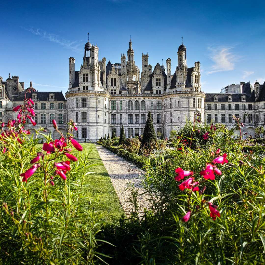 Exterior view of the Chateau de Chambord, the best known of the Loire Valley Castles, with fuschia flowers in the foreground against a paved pathway leading to the castle.