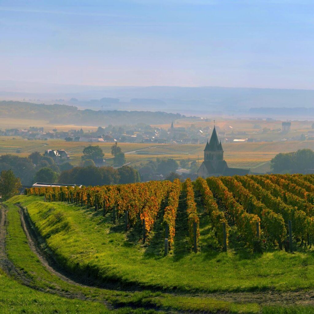 A view across the vineyards in Champagne, France, with the horizon hazy in the distance