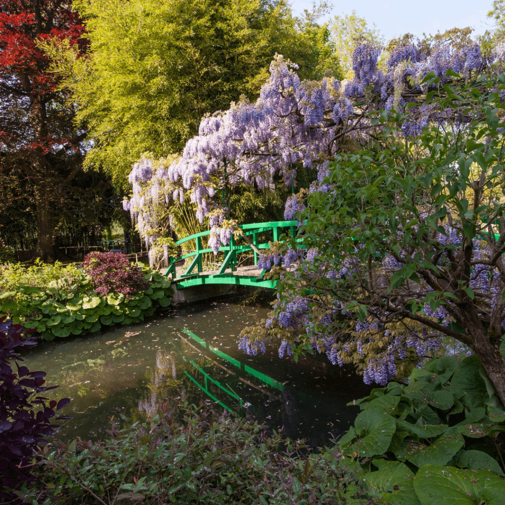 Wisteria blooming above a green-railed walkway reflected in a still pond in Monet's garden