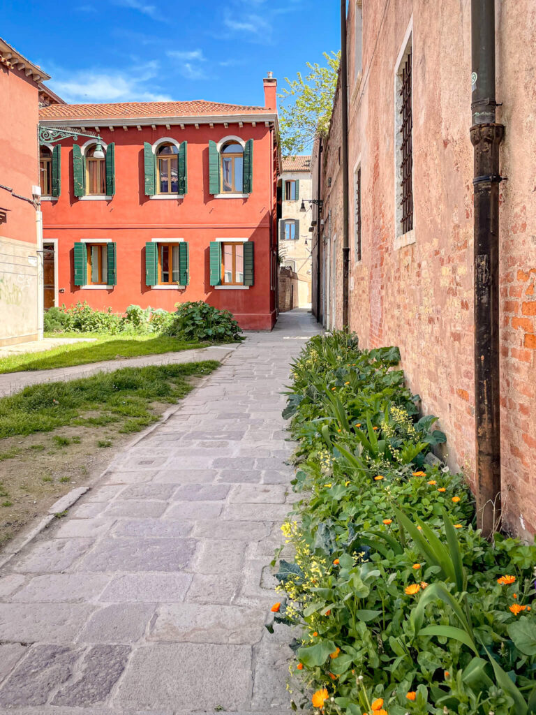 Flowering plants next to the brick wall of a home on the island of Giudecca in Venice, Italy