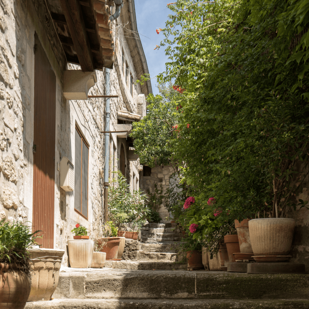 A cobblestone stairway lined with potted plants in the hilltop village of Les Baux de Provence