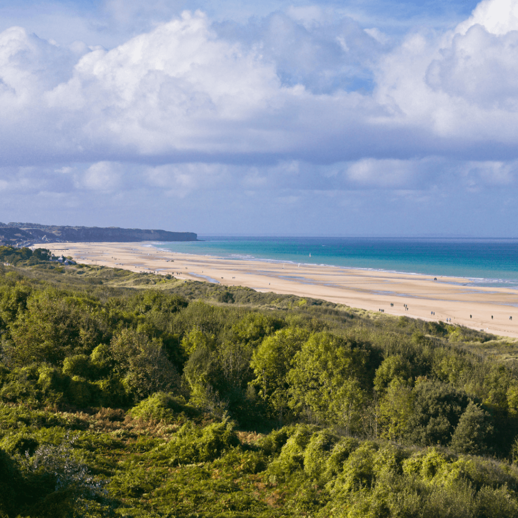 A view over Omaha Beach with green trees bordering the sandy beach with the blue ocean beyond