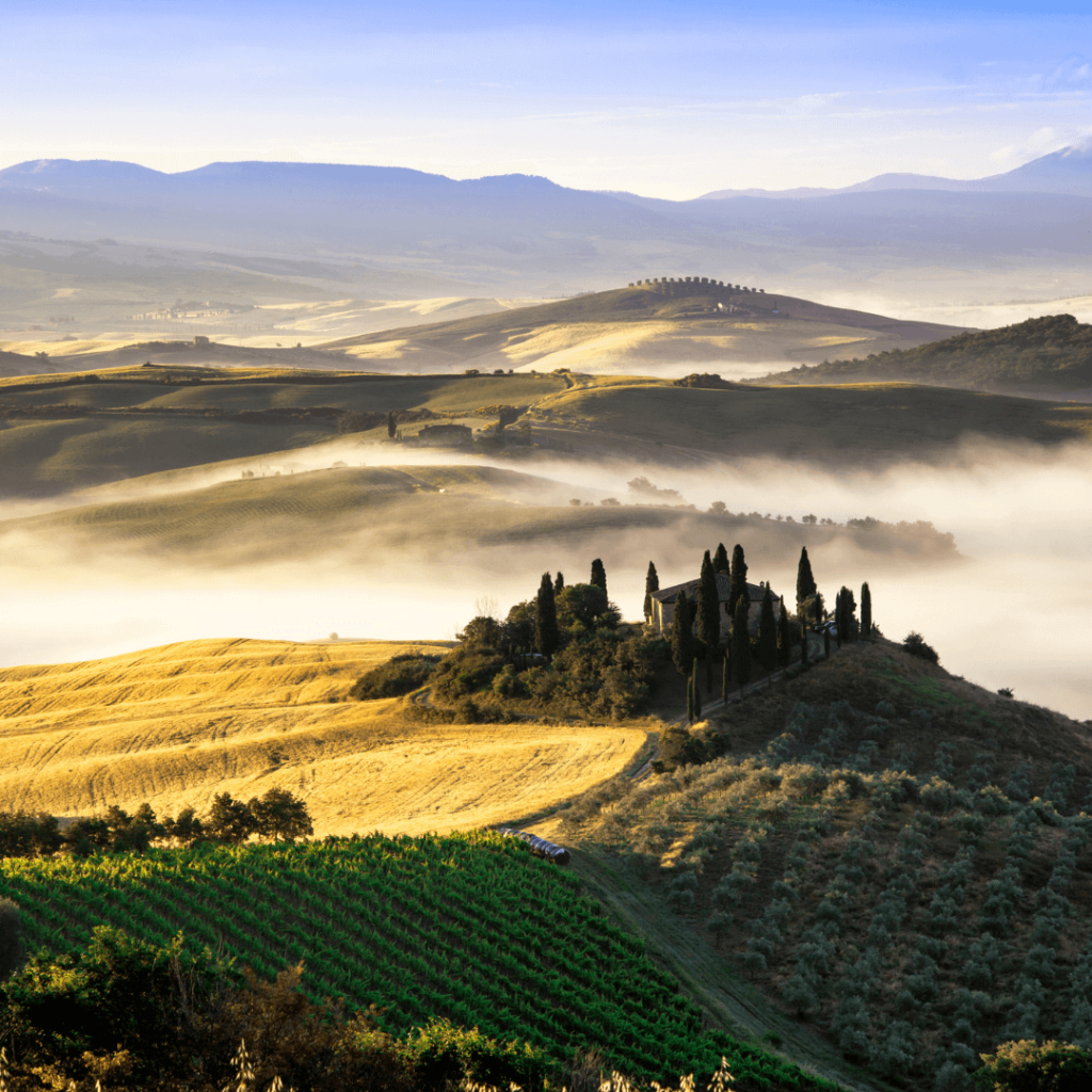 Fog settling in the valleys of the rolling tuscan hills around Val d'Orcia